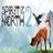 Spirit of the North 2