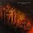 Star Trek: Deep Space Nine - The Fallen
