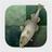 Stockfish Chess