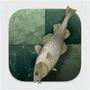 Stockfish Chess