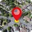 Street View Live 3D GPS Map