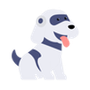 Study Fetch