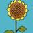 Sunflower Count Drag Game
