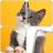 Swappy Jigsaw Puzzles