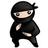 System Ninja