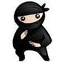 System Ninja