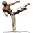 Taekwondo Forms Sponsored