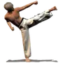 Taekwondo Forms Sponsored
