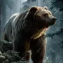 Talking Bear