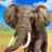 Talking Elephant