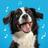 Talking Pet AI: Cat Dog Talk