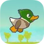Tappy Duck