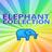 The Elephant Collection