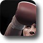 The Fighter Wallpaper