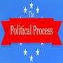 The Political Process