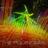The Polynomial