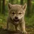 The Wolf