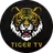 TIGER TV