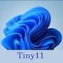 Tiny11