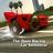 TORCS The Open Racing Car Simulator