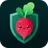 Torob VPN