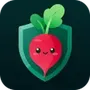 Torob VPN