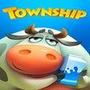 Township