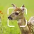 TrailCam Go