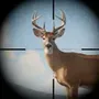 Trophy Hunter – Hunting Game