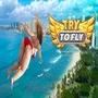 Try to Fly