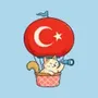 Turkish TV Series
