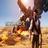 Uncharted 3 theme