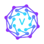 VeilNet Conflux