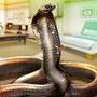 Venom Cobra Snake Simulator
