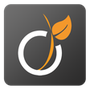 Viadeo