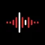 Voice Recorder: Memos Editor