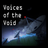 Voices Of The Void