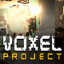 Voxel Project VR
