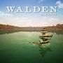 Walden a game