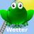 Weather Frog