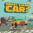 What the Car
