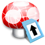 Wii Transfer