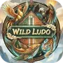 Wild Ludo