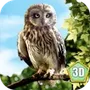 Wild Owl Simulator 3D