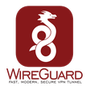 WireGuard