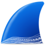 Wireshark