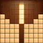 Wood Block Puzzle 3D