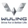 Wuling Sales Assistance