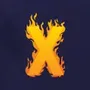 Xam idea
