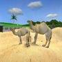 Zoo Tycoon 2